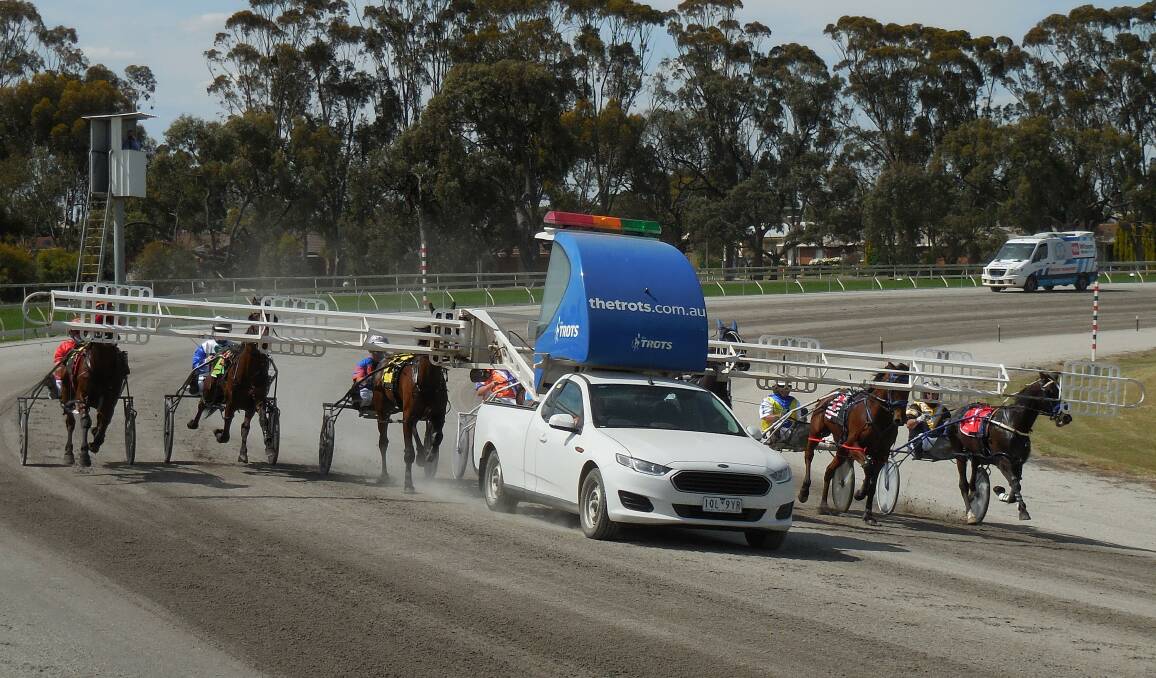 RACING: The third annual Alabar Horsham three-year-old Classic is the highlight of tomorrow's meet. Picture: TONY LOGAN