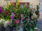 The Stawell Orchid Society Spring Show runs from Friday, September 29 to Sunday, October 1. File picture