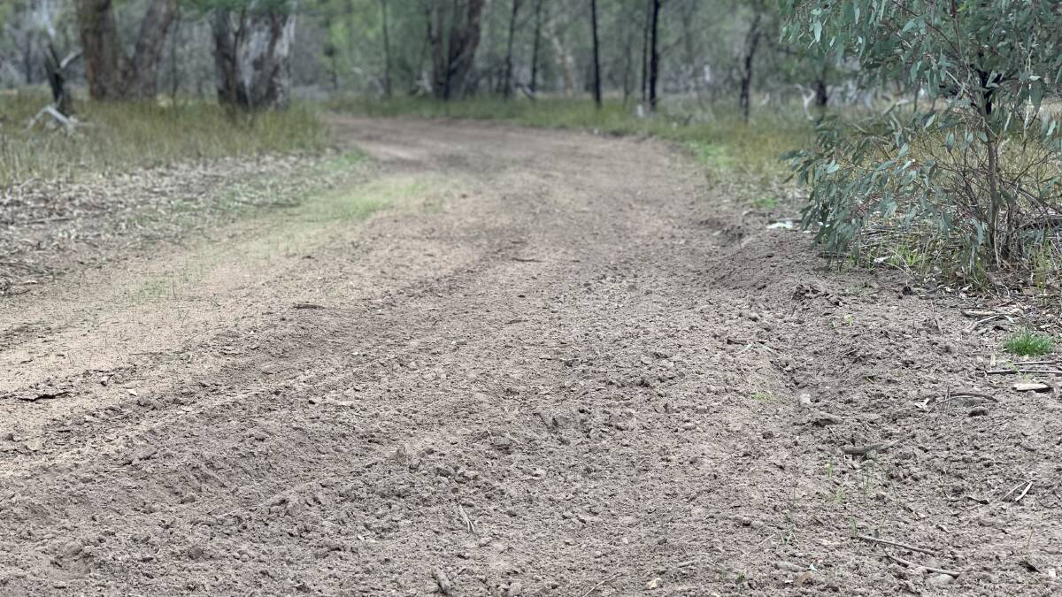 That's new: the offenders have allegedly created new access tracks around Lake Fyans, including this road near Devils Garden Rd. Picture: BEN FRASER