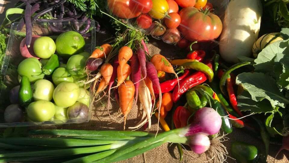 Vegetables help Bellellen Grampians Organics grow its business