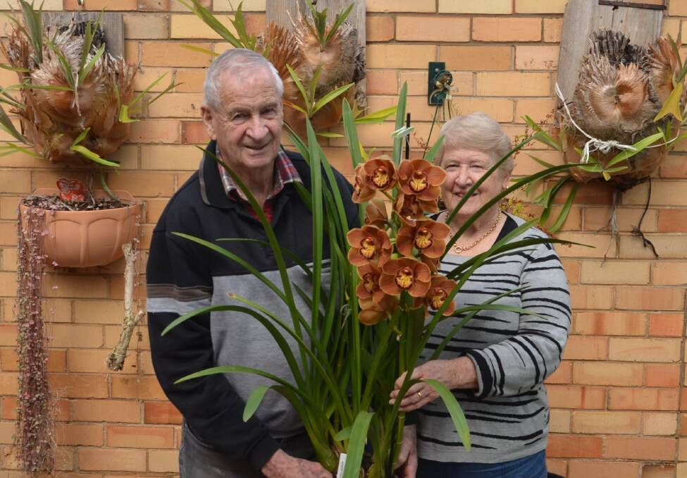 Max and Val Kennedy with a flowering orchid. Picture: MARK MCMILLAN