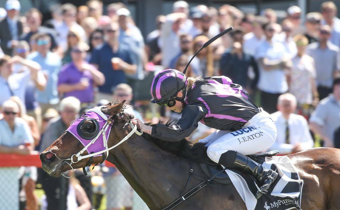 THIRD PLACE: Former Stawell jockey Jessica Eaton rides I Am The Dark to qualify for the Melbourne Cup Carnival Country Final. The gelding finished third in the final behind two Darren Weir horses. Picture: Racing Photos.