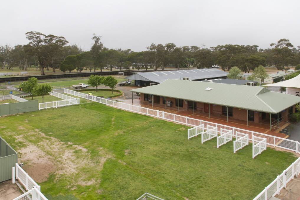RACING: Stawell Race Club is ready to welcome the transfer meet to their venue from Swan Hill on Tuesday. Picture: PETER PICKERING