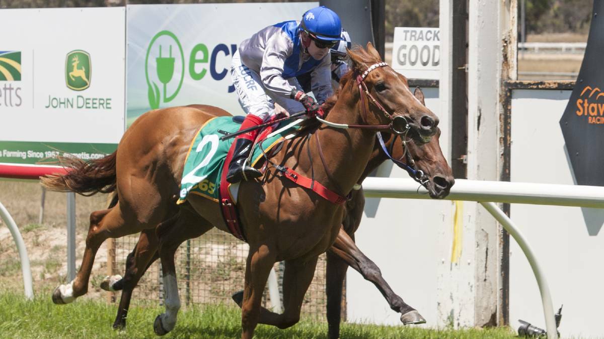 SUCCESS: Horshams Dean Yendall had a day out at the 2019 Halls Gap Cup, winning four of the days eight races including the illusive cup.