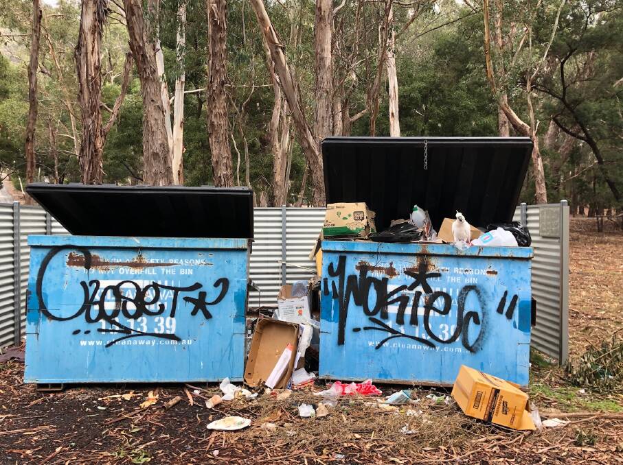 MAKING A MESS: Birds tearing through the rubbish in the skip bins in the Brambuk carpark. Picture: CONTRIBUTED