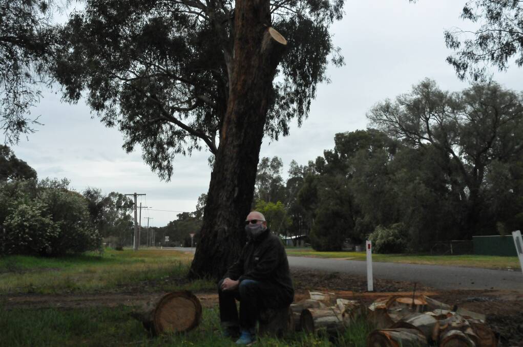 PLEASED WITH SERVICE: Great Western's Peter Heenan was pleased with the service he received from Northern Grampians Shire after a limb fell from a tree near his property. Picture: CASSANDRA LANGLEY