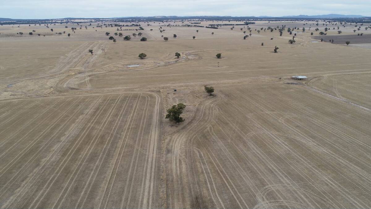 Wimmera auction lands a nice price for property
