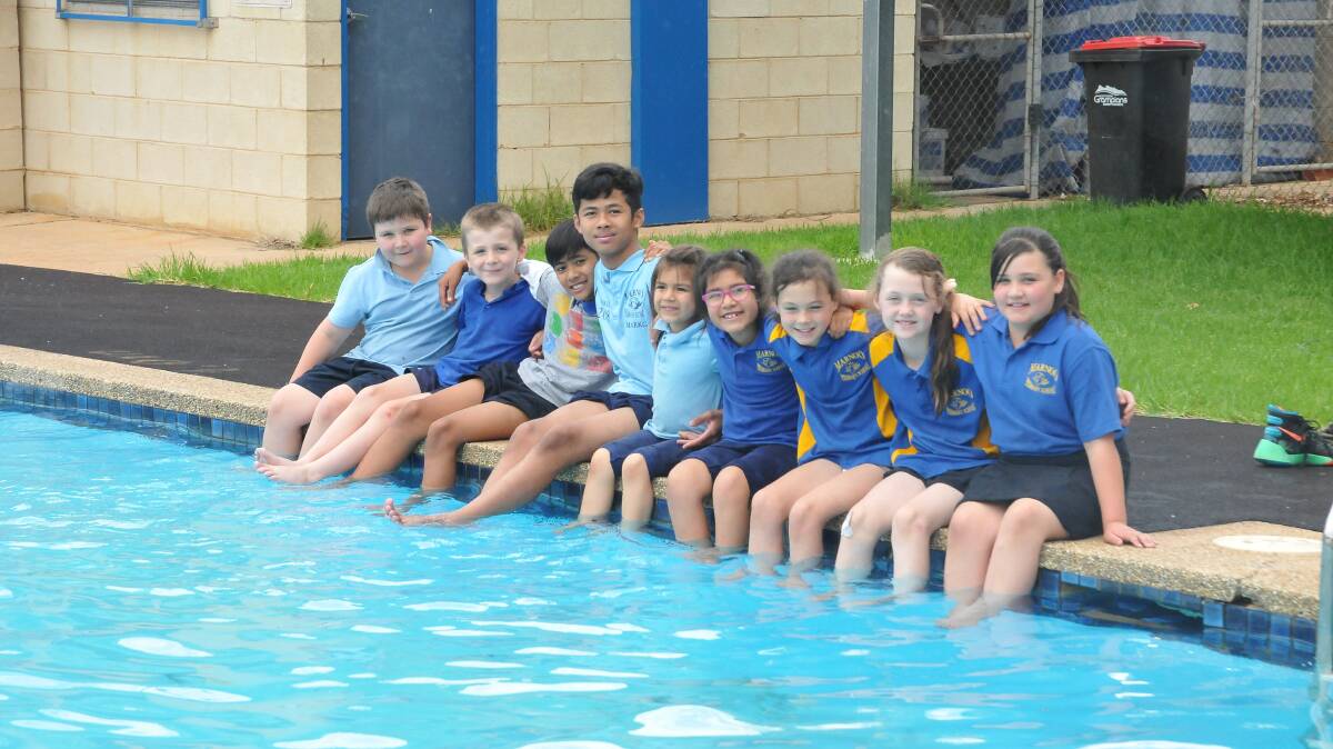 READY FOR FUN: Marnoo Primary School students were tempted to dive in to the pool just before the school holidays. Pictures: CASSANDRA LANGLEY
