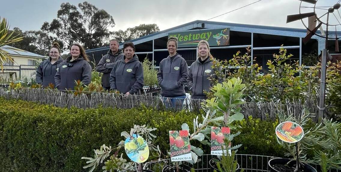 FOR A CAUSE: The team at Westway Nursery are ready to help raise funds for cancer. Picture: CASSANDRA LANGLEY
