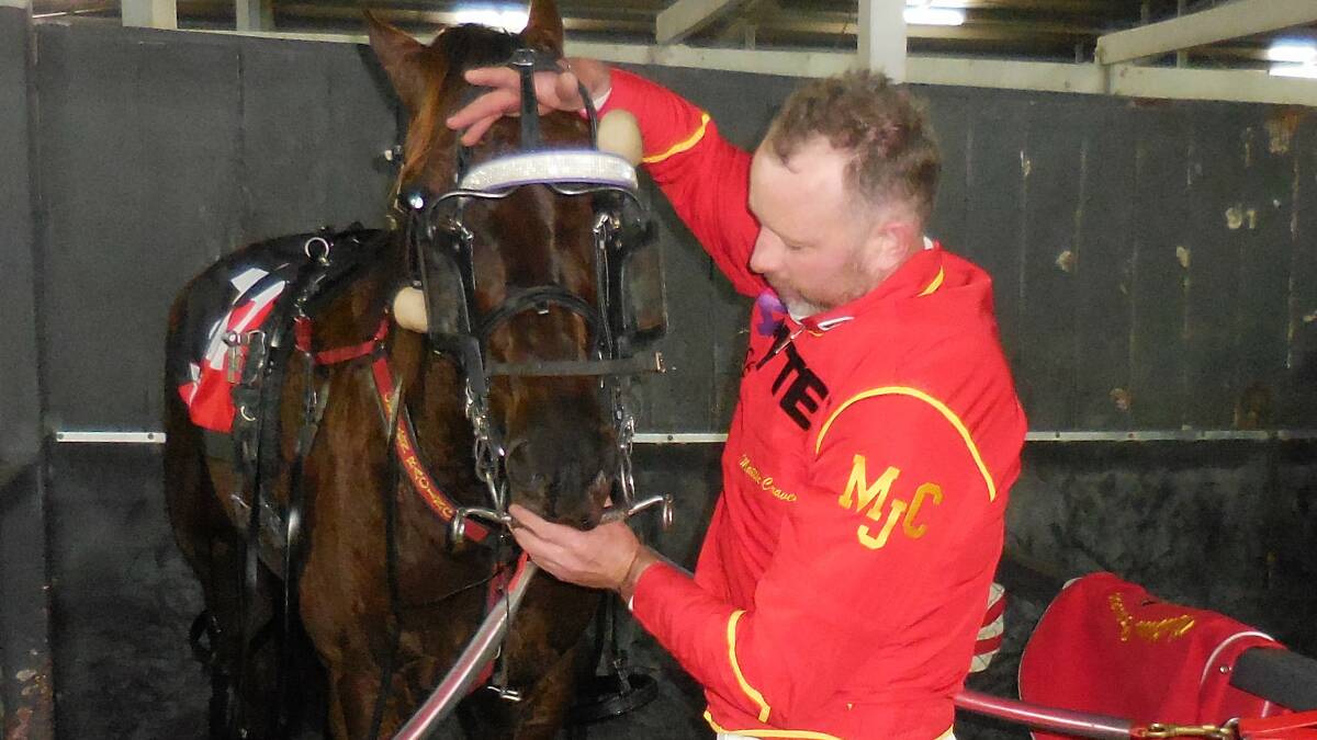 Terang horseman Matty Craven gears up classy pacer Kowalski Analysis before racing in a Group 3 contest at Albion Park on Saturday. The 4yo gelding is part-owned by Horsham HRC President Terry Lewis and flashed home to miss by the barest of margins in a rate of 1:52.3 for the 1660 sprint.
