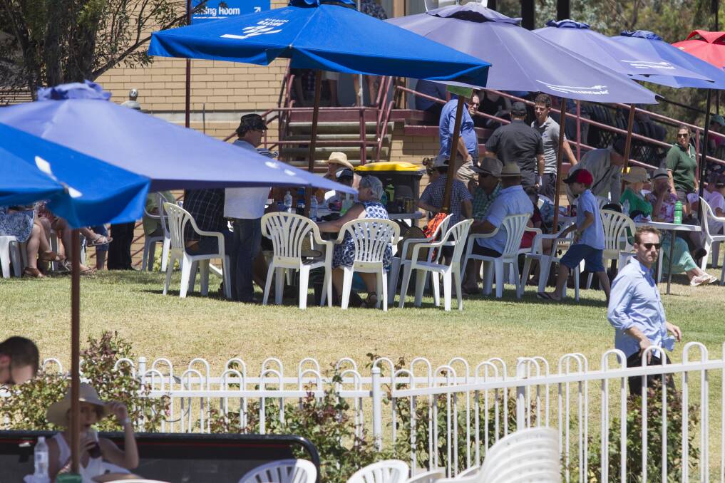 SHADE: Plenty of shade kept racegoers comfortable at the 2018 Halls Gap Cup.  Picture: PETER PICKERING