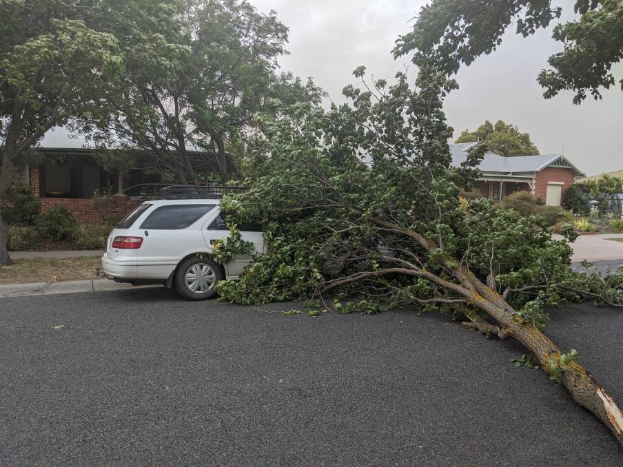 STORM DAMAGE: A tree down on a car in Macinnes court in Horsham on Friday afternoon. Picture: RICHARD CRABTREE