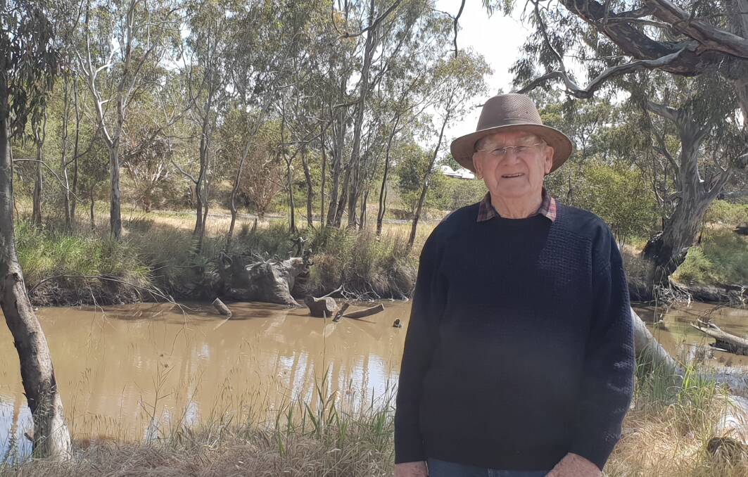 ANIMAL HIGHWAYS: Gary Aitken said he hoped there would be an increase in shade and wildlife corridors in the future to support animal movement and sustain life in the Wimmera. Picture: ELIZA BERLAGE