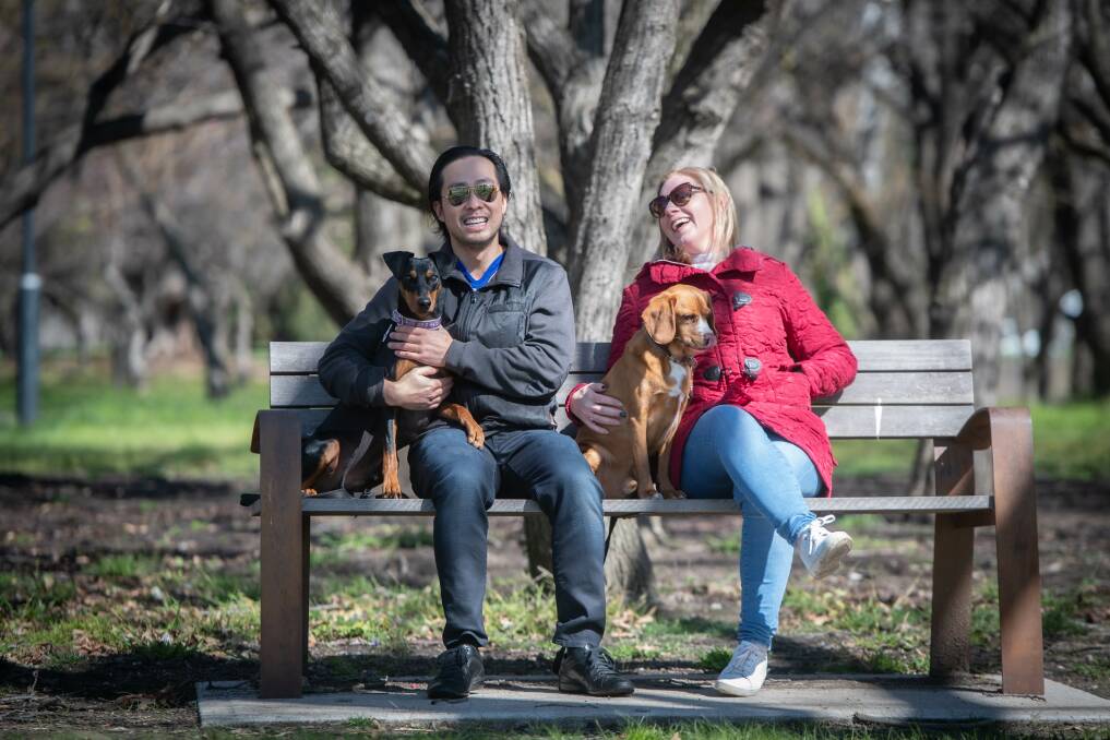 Charles Tran and Emily Lukasiak want to change their working habits to fit in with their dogs, Pinschy and Colby Picture: Karleen Minney