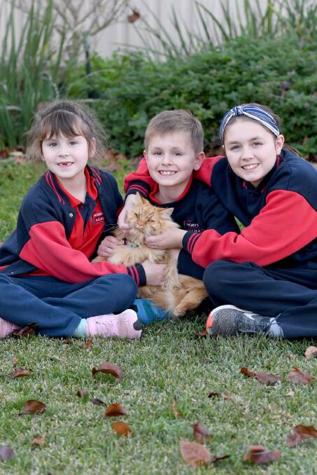 Horsham siblings Alexis, 6, Dominic, 8, and Addison, 10, Walter, with their cat Rusty. Picture: SAMANTHA CAMARRI