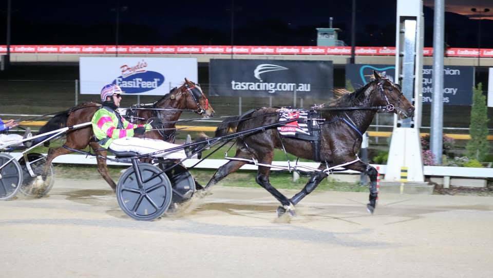 Magic Feeling, driven by Connor Crook, was an exciting winner on debut at Hobart on Sunday. Picture courtesy TASMANIAN TROTTING CLUB.
