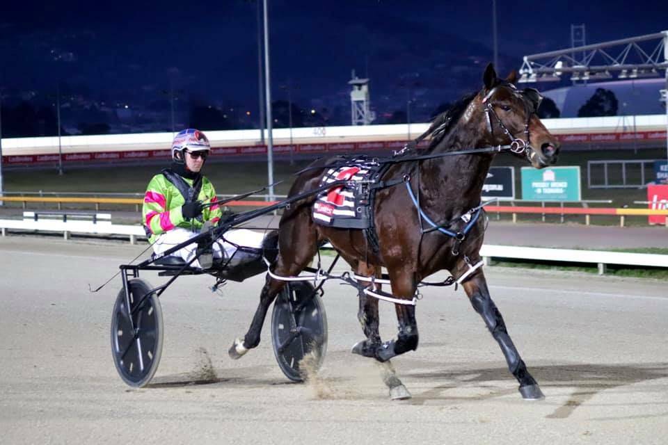 Magic Feeling with Connor Crook in the sulky. Picture courtesy TASMANIAN TROTTING CLUB.