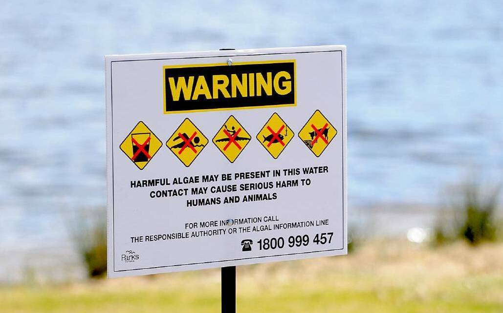Blue-green algae warning issued for Lake Lonsdale