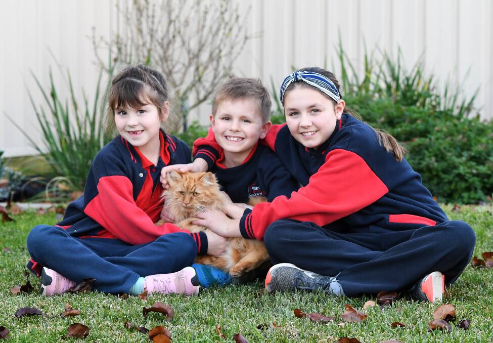 WELCOME HOME: Horsham siblings Alexis, 6, Dominic, 8, and Addison, 10, Walter, with their cat Rusty. Rusty went missing for nine months before being reunited. Picture: SAMANTHA CAMARRI