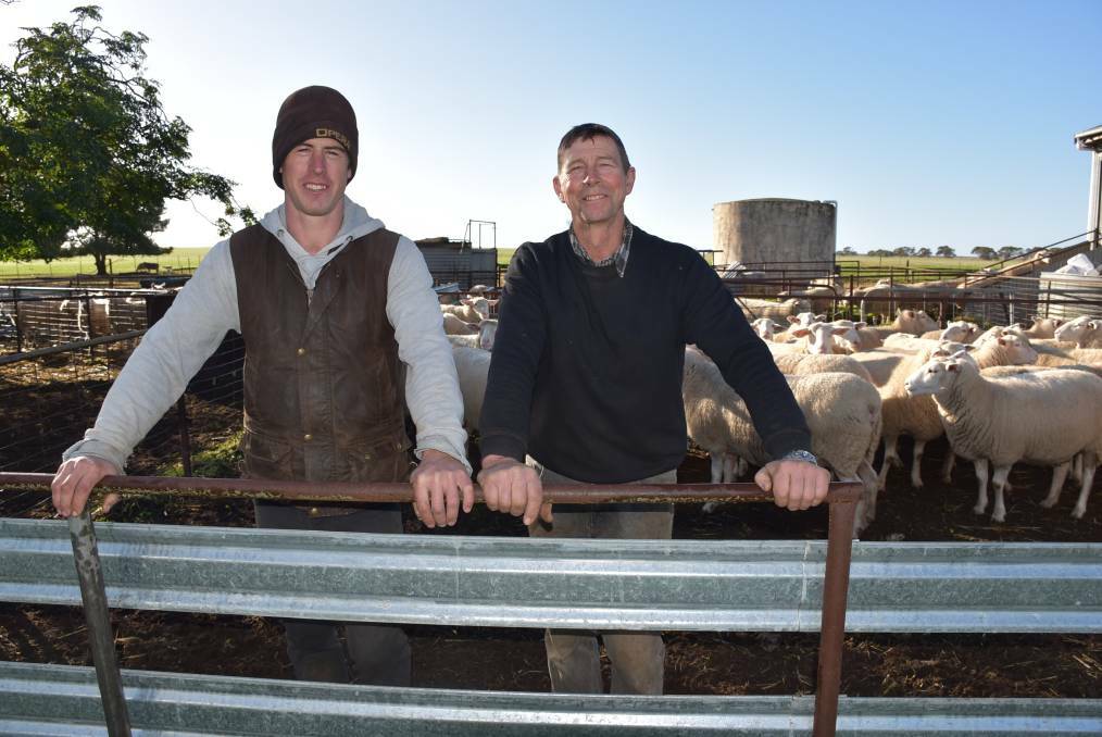 WIMMERA SHEEP SHOWCASED: Tim and Basil Jorgensen of Mertex sheep stud, Antwerp will showcase a number of their sheep at this year's Australian Sheep and Wool Show in Bendigo. Picture: STOCK AND LAND