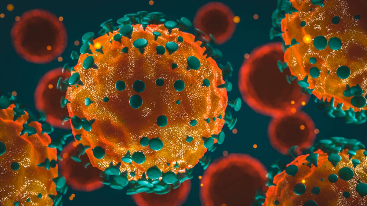 The ACT and NSW are waiting to see how Adelaide coronavirus outbreak numbers track before making decisions about their borders. Picture: Shutterstock.
