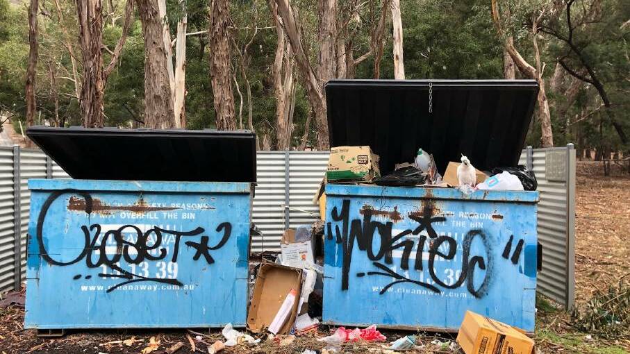  MAKING A MESS: Birds tearing through the rubbish in the skip bins in the Brambuk carpark. Picture: CONTRIBUTED