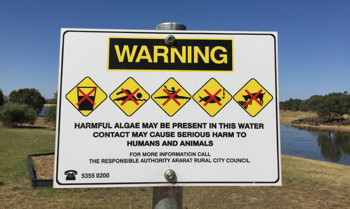 Signs at Green Hill Lake warn that harmful algae may be present in the water.