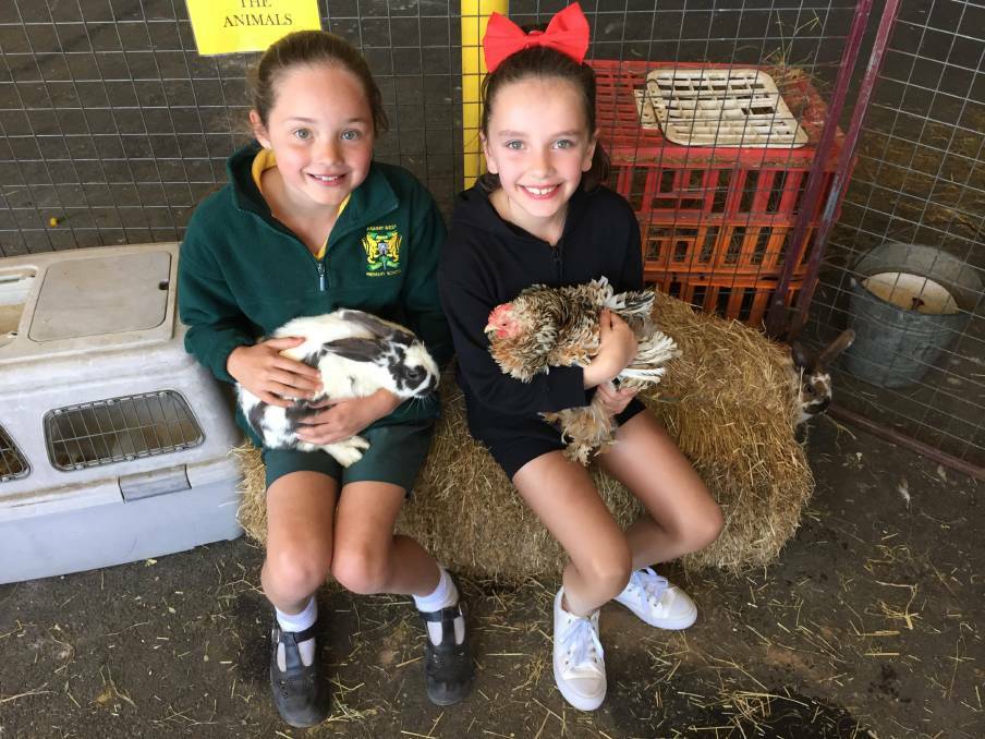 CUDDLY: Alyssa Townsend and Emilee Wilson got to cuddle the animals in the petting zoo during the 2018 Ararat Show.