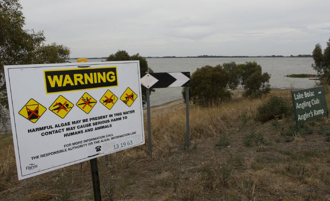 Blue-green algae blooms have been a frequent problem at Lake Bolac. 
