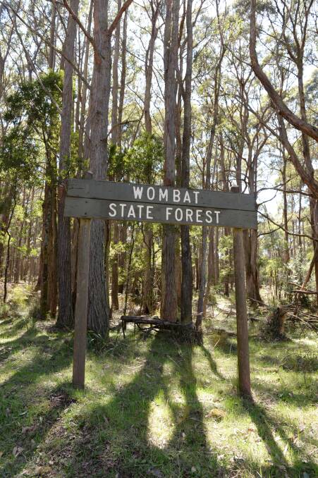 NATIONAL TREASURE: Wombat State Forest could become part of a large national park, combining with Lerderderg State Park. Photo: Kate Healy.