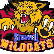 Wildcats opt out