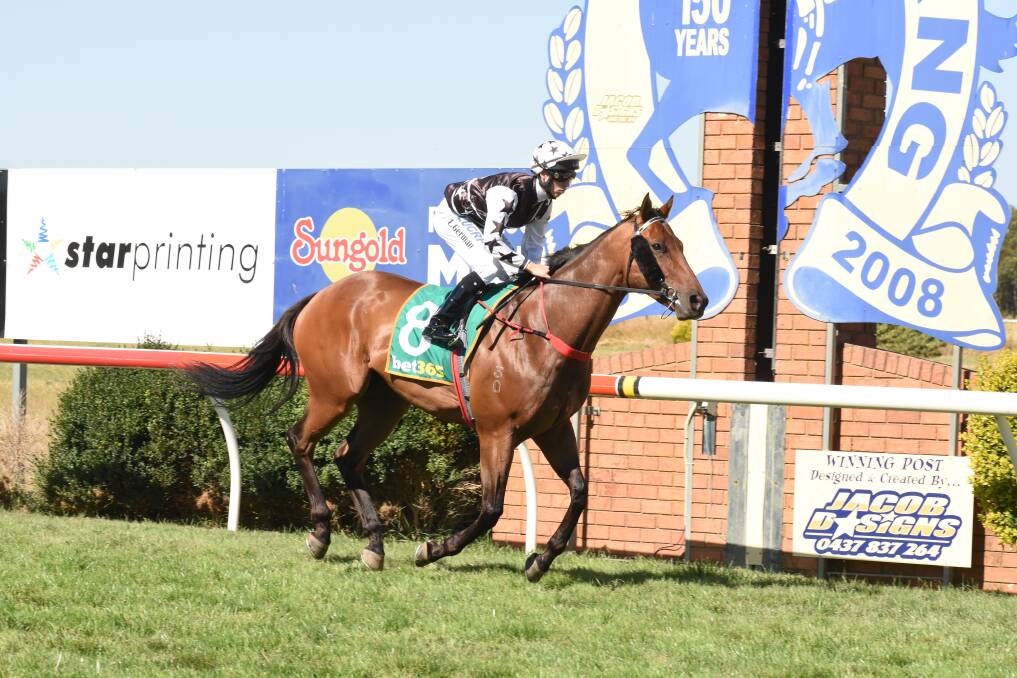 Pictures: Todd Nicholson/Racing Photos.