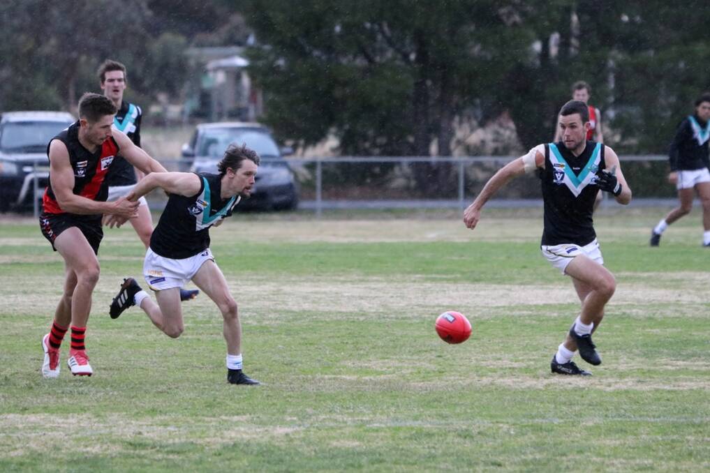 BACK AT IT: Andrew Cameron shepherds for Swifts coach Scott Carey. Carey returned from a broken hand last weekend. Picture: Trish Ralph.