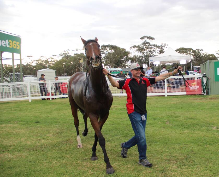 RAPT: Barry the Baptist's strapper celebrates his Stawell Cup win at Easter. The horse dominated the country cup circuit last season. Picture: LACHLAN WILLIAMS