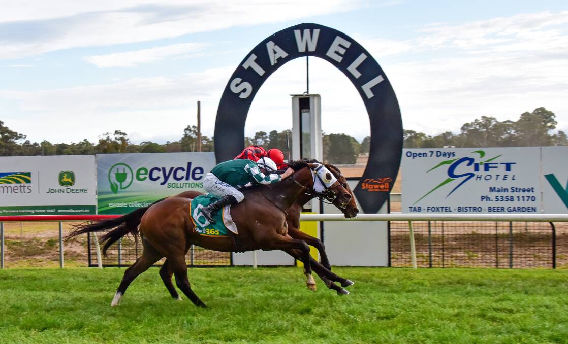 Barry the Baptist wins the 2019 Stawell Cup. Picture: BRENDAN McCARTHY/RACING PHOTOS