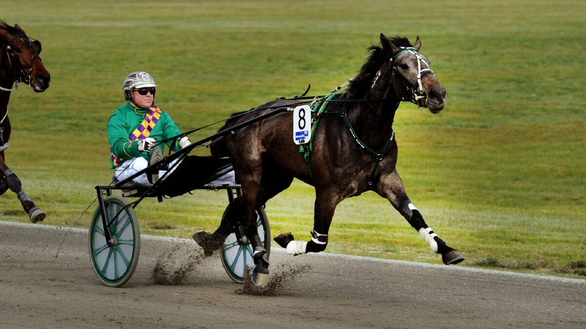 Anthony Butt drives Eyrish Mist home in The Maori Legends race at Stawell in 2017.
