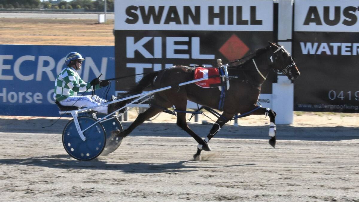 
Ararat trained 3yo gelding Classicmajor strides to victory at Swan Hill on Tuesday night with driver Grant Campbell sitting quietly in the sulky. Picture: CLAIRE WESTON PHOTOGRAPHY
