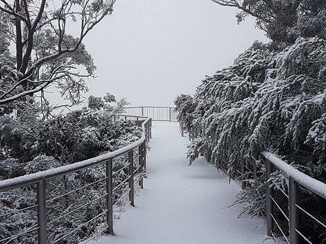 WOW: Boroka Lookout in the Grampians National Park is covered in snow and overlooks and even bigger expanse of white at the edge. Picture: hallsgapcaravanpark and donaldweatherstation