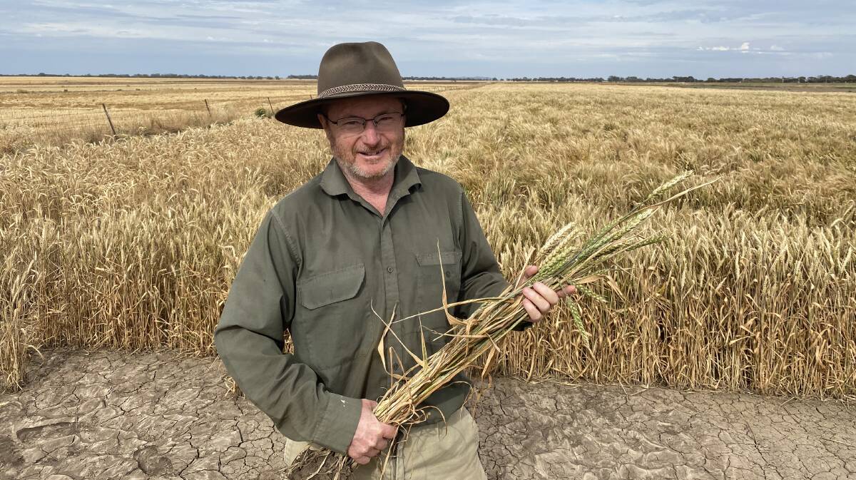 REMINDER: Agriculture Victoria senior research scientist Grant Hollaway urged growers to be aware of the heightened risk of crop diseases this season.