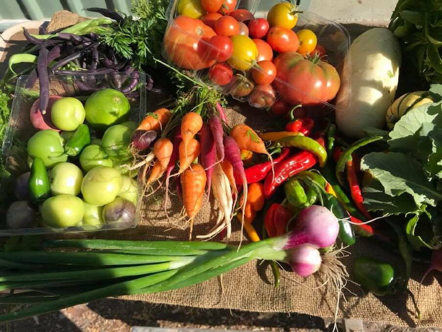 Meet the couple growing organic vegetables on Grampians soil
