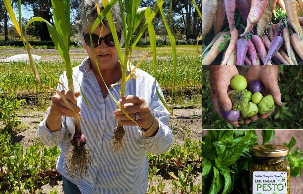 FRESH FROM THE GROUND: 74-year-old Meg Blake from Bellellen Grampians Organics showcases organic veg planted and cared for by hand without the use of chemicals. "What we are doing is like ancient craft," she says. 