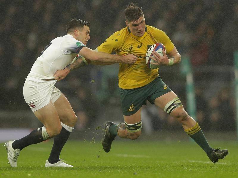 Sean McMahon will pull on a Wallabies jersey for the first time since 2017 against Argentina.