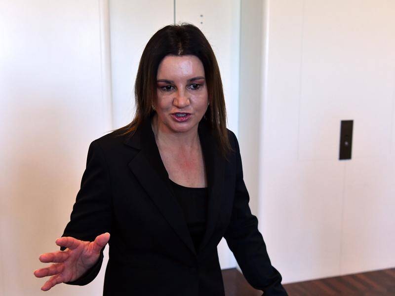 Jacqui Lambie slammed both major parties for creating a disaster relief fund from education funding.