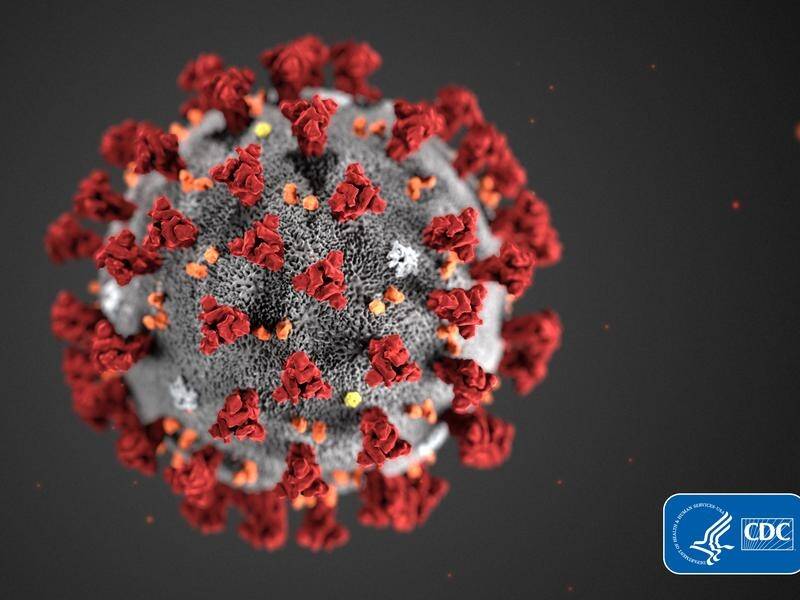 A coronavirus vaccine could be trialled in three months but wider use may be more than a year away.