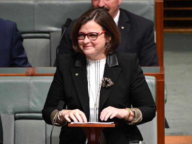 Former ACTU boss and Labor's newest MP, Ged Kearney has delivered her maiden lower house speech.