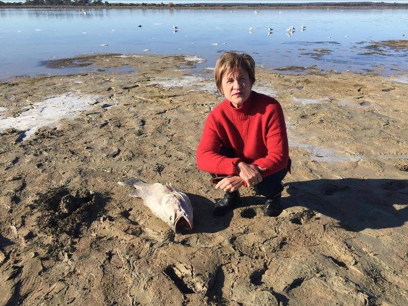 Local MP Helen Dalton says the dead fish at Lake Wyangan is a wake-up call for the NSW government.