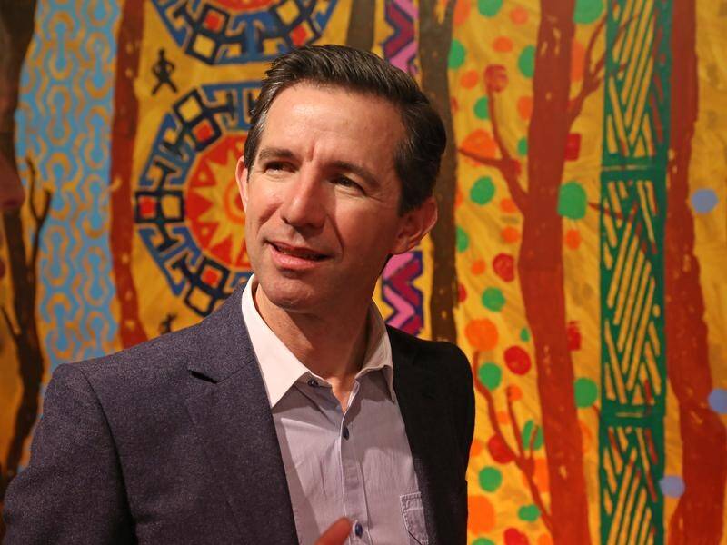 Trade Minister Simon Birmingham is keeping the pressure on Labor to back income tax cuts.