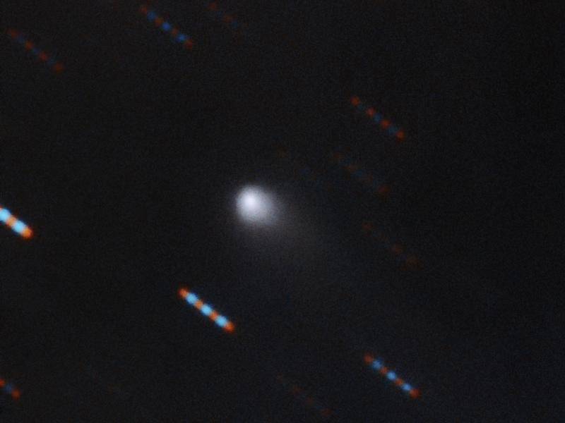 The interstellar comet 2I/Borisov is remarkably similar to comets of our solar system.