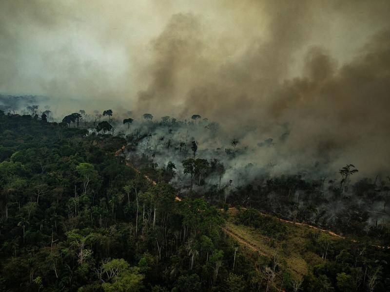 Brazil is sending 44,000 soldiers and two water-bombing aircraft to battle wildfires in the Amazon.