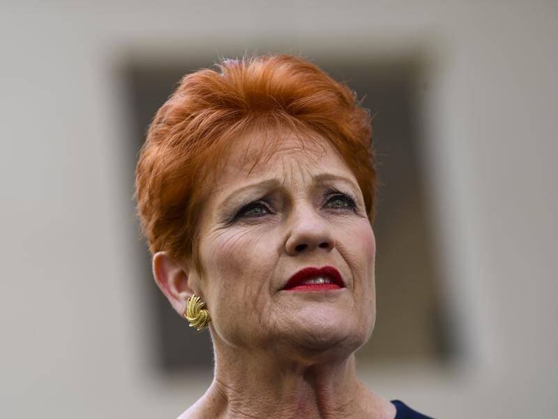 Pauline Hanson has identified "volcano eruptions" and the oceans as major causes of climate change.